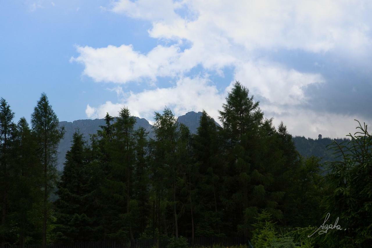 Apartament Krolewski Superior Z Sauna Zakopane Eksteriør billede