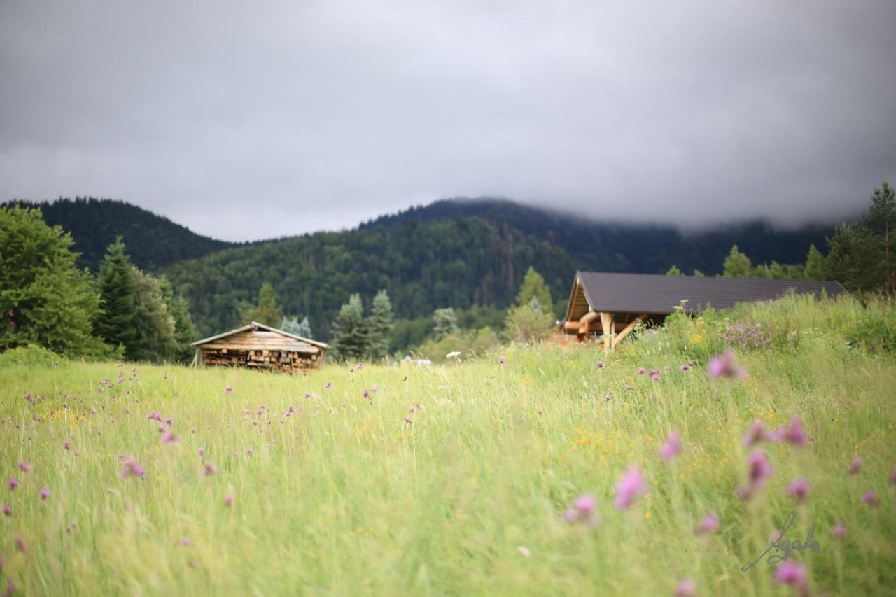 Apartament Krolewski Superior Z Sauna Zakopane Eksteriør billede